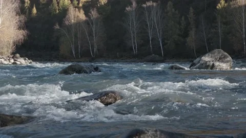 Seething water quickly flows over the stones. Mountain river in autumn Stock Footage 223351120