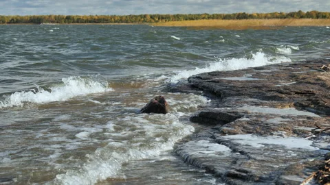 The seething waves of a mountain lake Stock Footage 146892194