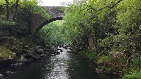 Segade Stone Bridge Arching Over The Umia River In Galicia, Spain. Sideways Shot Stock-Footage 335000792