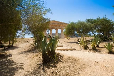 SEGESTA temple Stock Photos
