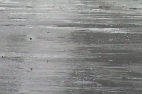 Segment 2 from 'Untitled'-SD 8-bit Uncompressed NTSC Stock Footage 1100333