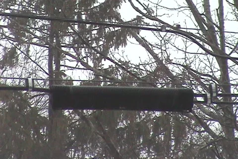 Segment 5 from 'Untitled'-SD 8-bit Uncompressed NTSC Stock Footage 1100322