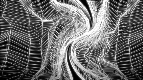 Segment Movement Stock Footage 124716475