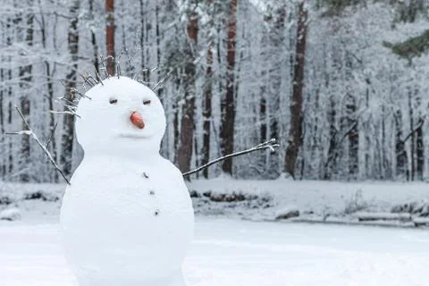 A segment of a snowman in a forest Stock Photos
