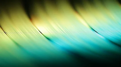 Segment of vinyl record Stock-Footage 32493979