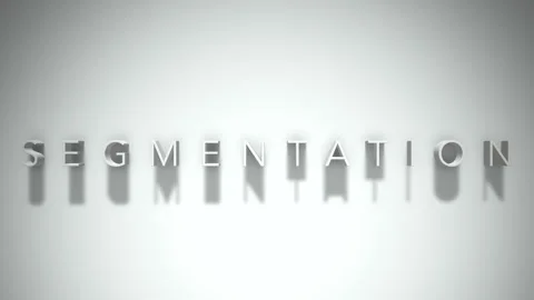 Segmentation 3D title animation with shadows on a white background Stock Footage 297856353