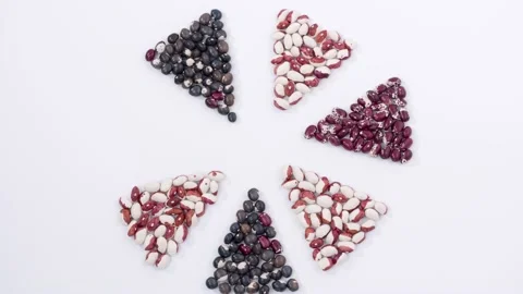Segments of circle made of beans Stock Footage 152930228