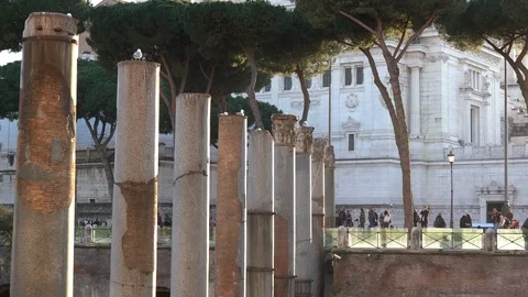 Segull on ancient columns of rome Stock Footage 125697309