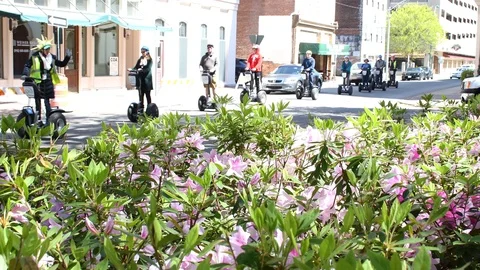 Segways in Savannah at Spring Time 库存影片 87171804