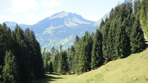 Seilbahnfahrt bei Schoppernau Stock Footage 105877590