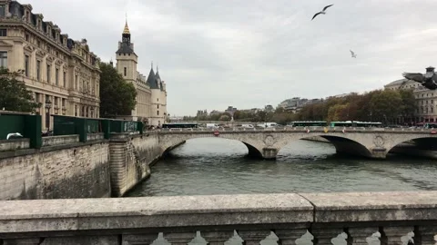 Seine river bridge with doves in winter, Paris Stock Footage 145458250