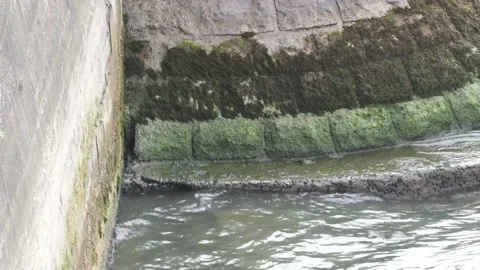 Seine River is in the spotlight during the first days of the Olympic Games, Parí Stock Footage 280584901