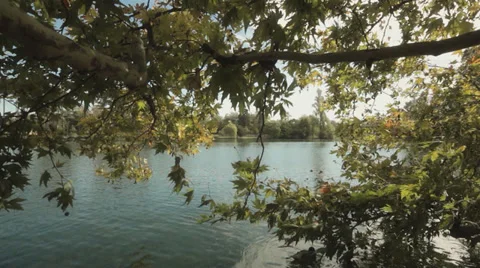 Seine river in summer Stock Footage 35341261