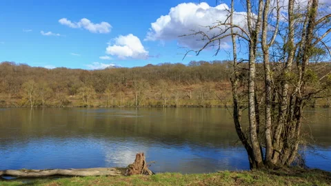 Seine Riverside Video stock 150893740