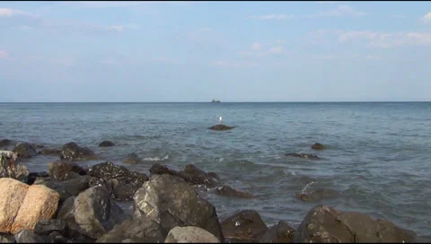 Seiner, gull 動画素材 29388773