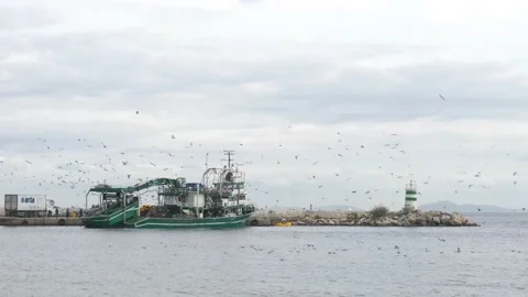 Seiner makes a turn in the harbor Stock Footage 219093529