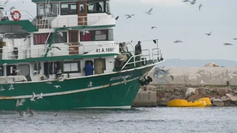 Seiner at the pier Stock Footage 219098952