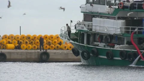 Seiner at the pier Stock Footage 219099047