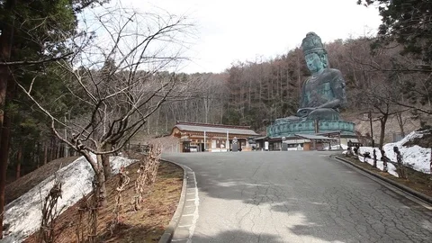 Seiryu Temple Buddha Video stock 104418015