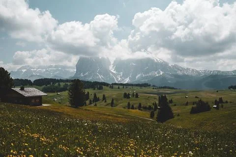 Seiser Alm in the Dolomites Stock Photos