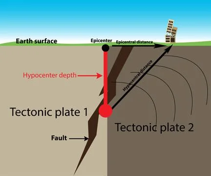 Seismic activity Stock Illustration