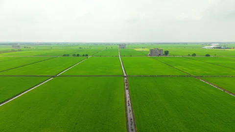 Sekinchan Green Paddy Fields Irrigation Canal Aerial Push-In - Malaysia 4K 動画素材 332092524