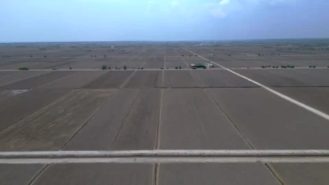 Sekinchan Harvested rice fields preparing for cultivation. Fantastic aerial Stock Footage 340797926