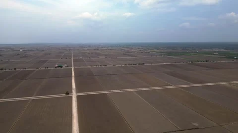 Sekinchan Harvested rice fields preparing for cultivation. Fabulous aerial view 库存影片 340798057