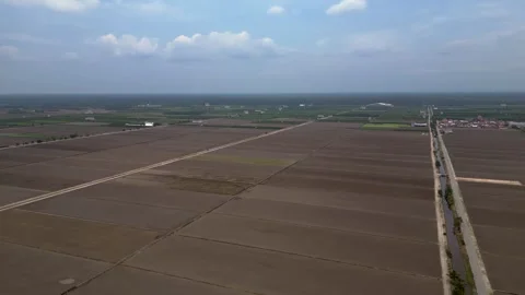 Sekinchan Harvested rice fields preparing for cultivation. Beautiful aerial Stock Footage 340798195