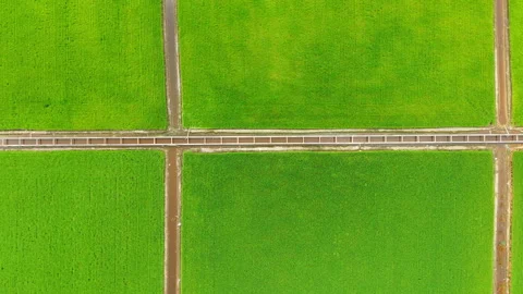 Sekinchan Irrigation Canals Paddy Fields Top-Down Aerial Malaysia 4K 스톡 동영상 332090016
