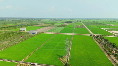 Sekinchan Power Transmission Tower Paddy Fields Aerial Orbit - Malaysia NETR 4K 스톡 동영상 332094530