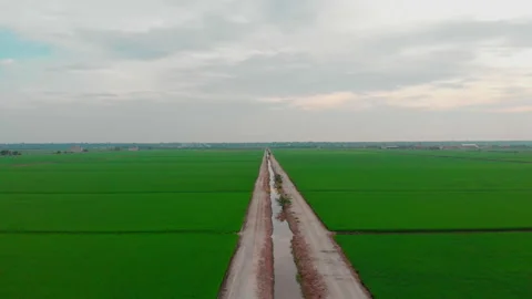 Sekinchan Rice Field Stockbeeldmateriaal 172322665
