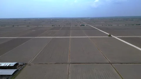 Sekinchan rice fields preparing for cultivation. Majestic aerial view drone Stock Footage 339825971