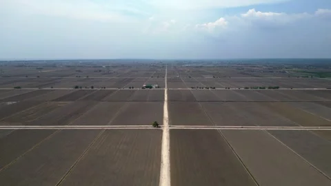 Sekinchan rice fields preparing for cultivation. Fantastic aerial view drone Stock Footage 339826494