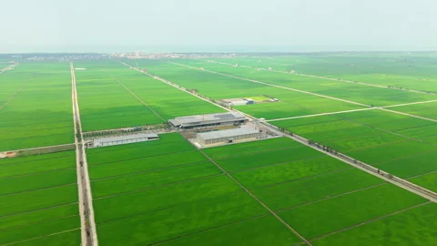 Sekinchan Rice Mill Food Processing Solar Roof Push-In - Malaysia 4K 스톡 동영상 332096190