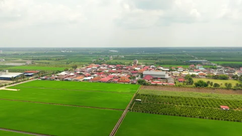 Sekinchan Rural Town Surrounded by Paddy Fields Aerial Orbit 4K Stock Footage 332075853