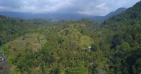 Sekumpul Falls Stock Footage 96014785