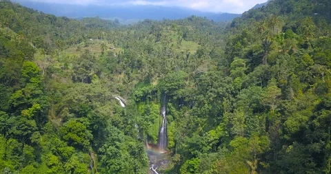 Sekumpul Falls Video stock 96017576