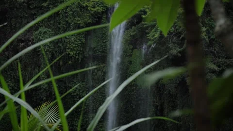 Sekumpul waterfall in Bali Stock Footage 273546490