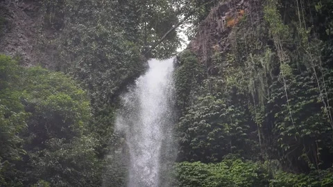 Sekumpul waterfall in Bali Stock Footage 273843997