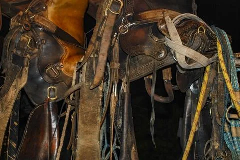 Sela para cavalo (montaria) | saddle Stock Photos