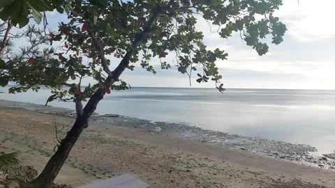 Selayar Archipelago (1) Video stock 274440367