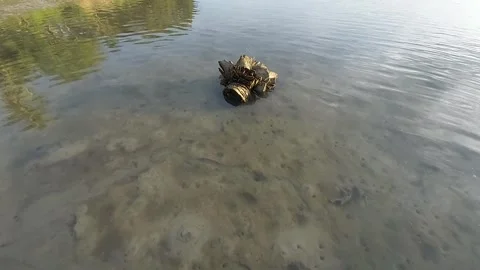 Selayar Archipelago (2) Stock-Footage 274440295