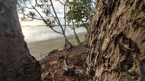 Selayar Archipelago (4) Stock Footage 274440255