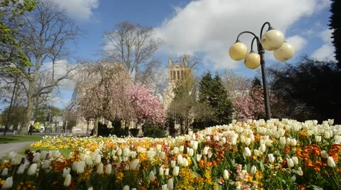 Selby abbey at springtime founded in 1069 by benedict of Auxerre north yorkshire Stock Footage 40525659