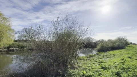 Selby Canal 스톡 동영상 334246762