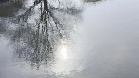 Selby Canal 스톡 동영상 334246776