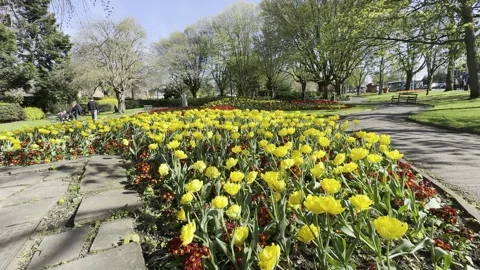 Selby Park 스톡 동영상 334246735