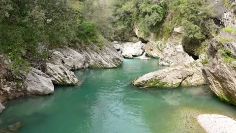 SELE Stock Footage 270446870