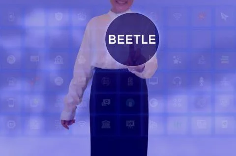 Select BEETLE - technology and business concept Stock Photos